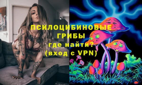 мет Медвежьегорск