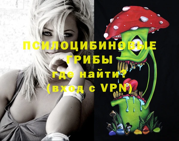 гидра Медногорск