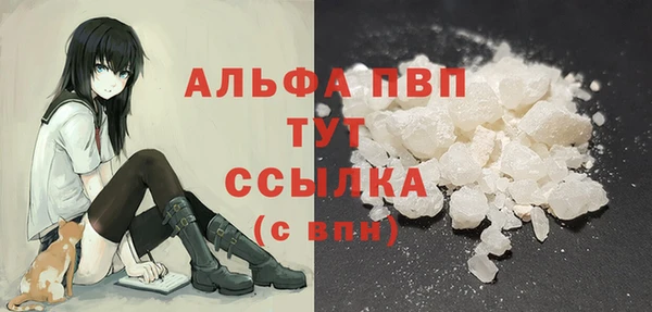дмт Мегион