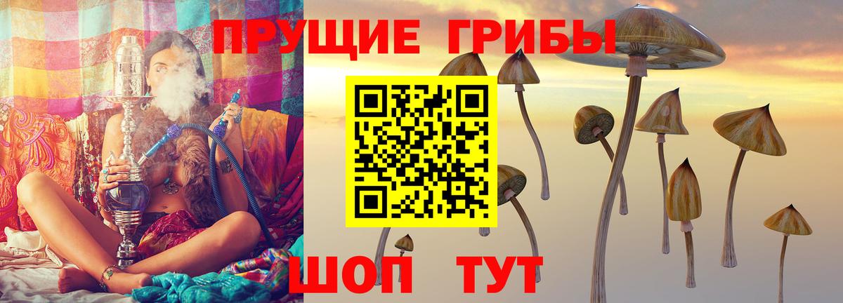 Севастополь  Галлюциногенные грибы Psilocybine cubensis  Вход с VPN 